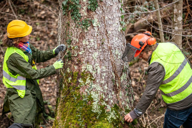 Soil Testing and Treatment in Stephens City, VA